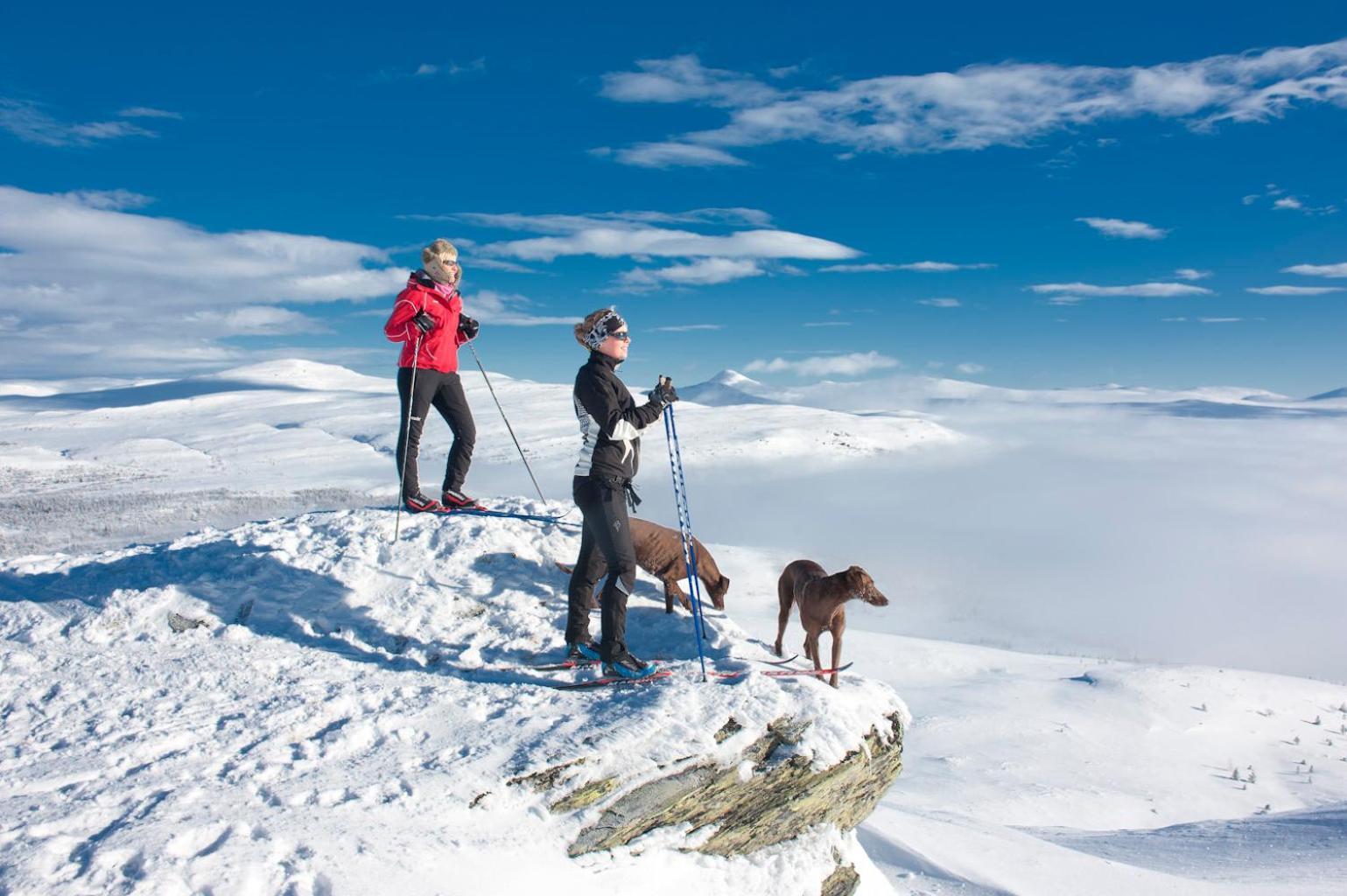 Spidsbergseter Resort Rondane Venabygd Buitenkant foto