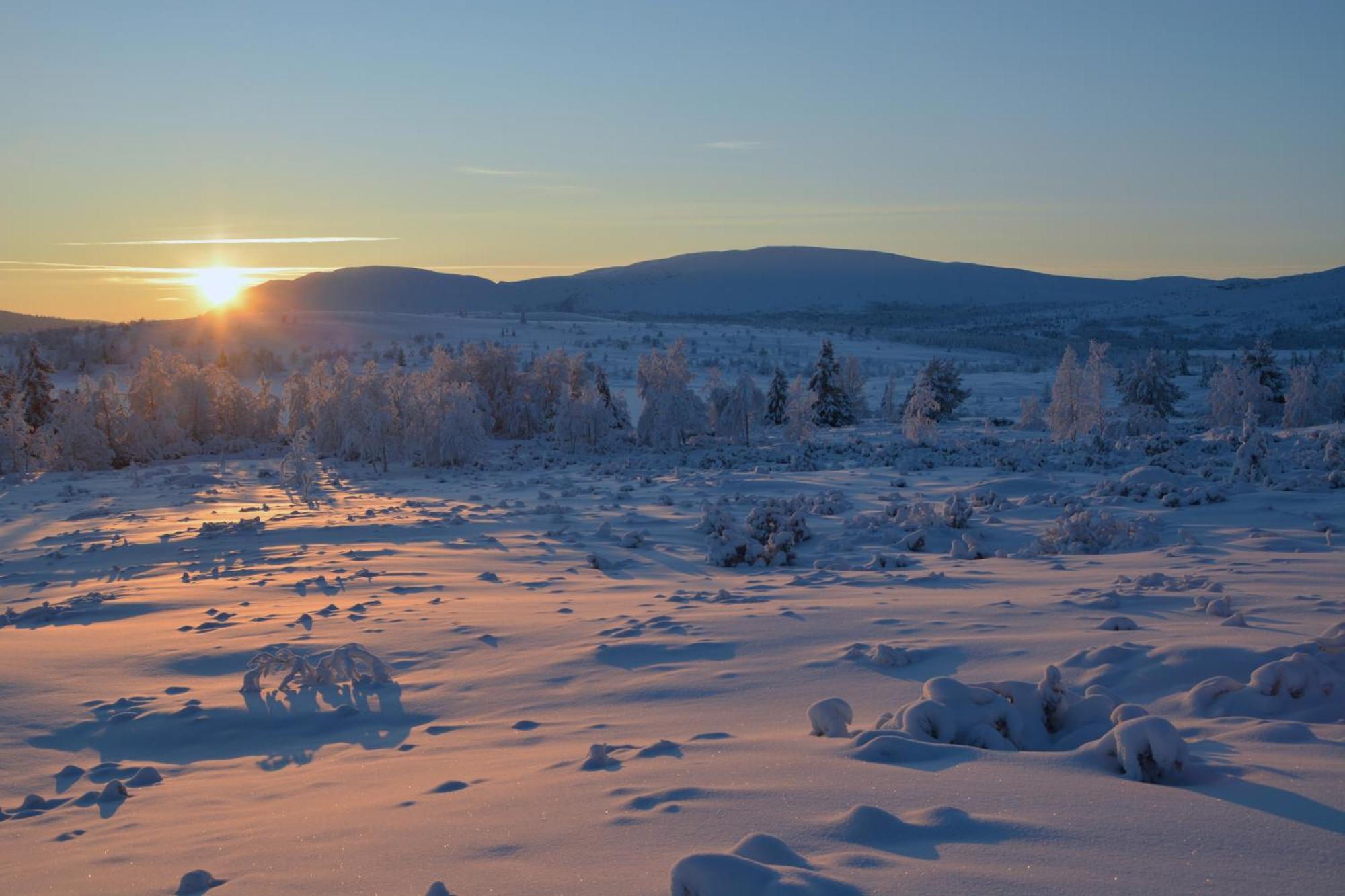 Spidsbergseter Resort Rondane Venabygd Buitenkant foto